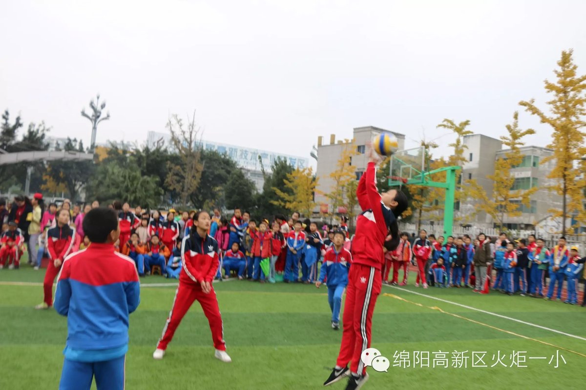【体育节比赛日速递1】赛场上挥洒激情,运动中茁壮成长