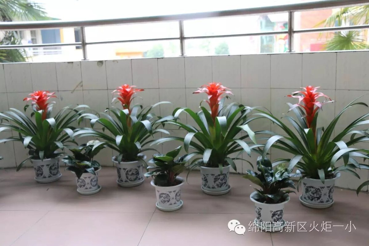 【火一动态】请你跟我来,看不一样的风景