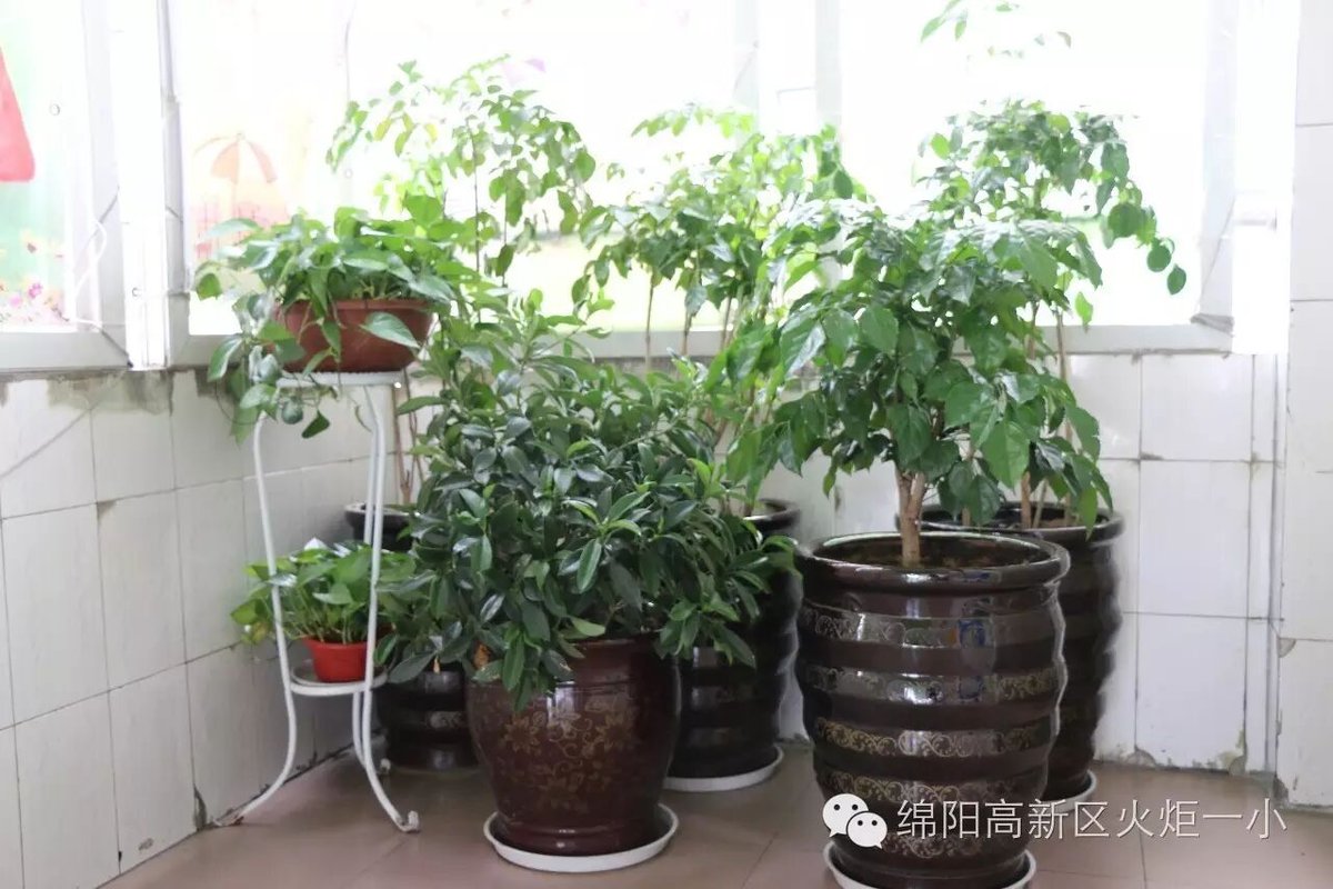 【火一动态】请你跟我来,看不一样的风景