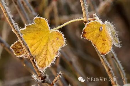 【火一动态】阅视生活   诗意青春