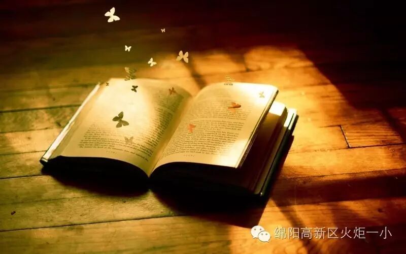 【火一动态】阅视生活   诗意青春