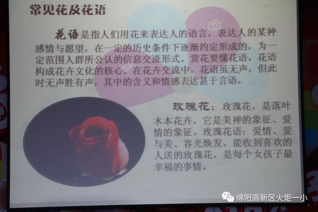 【火一女神节】三月 最美“女人•花”