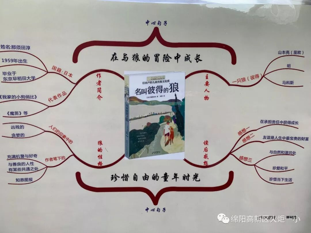 【火一读书节】涌动的思维在阅读中开花 ——师生读书卡,思维导图设计大赛