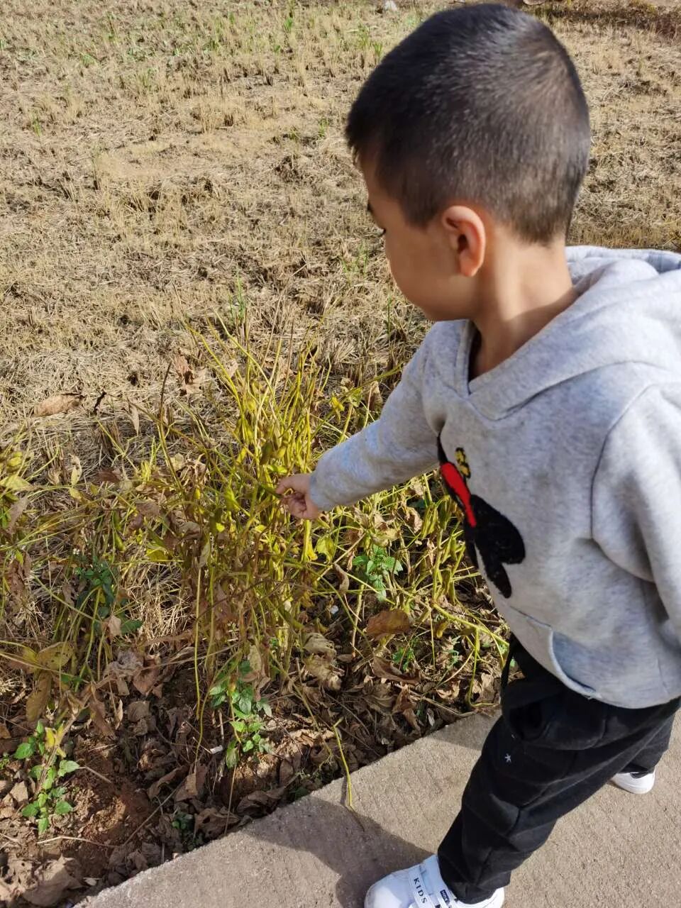 【火一竞赛节】粮食宝宝，我们用行动爱你丨一年级TRI课程展示