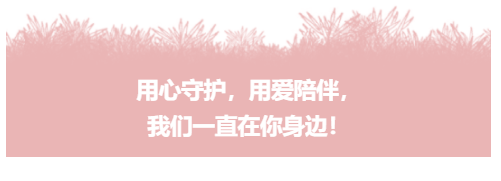 【一幼动态】“研”途有你,一路成长