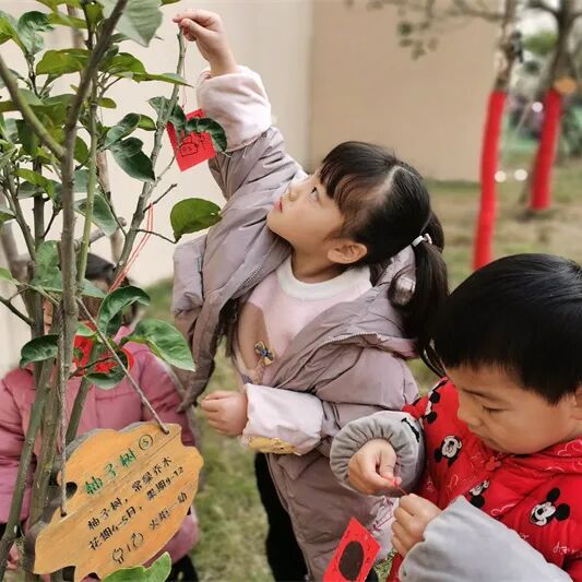 【一幼动态】玩转中国年系列活动②｜一幼福娃闹新春