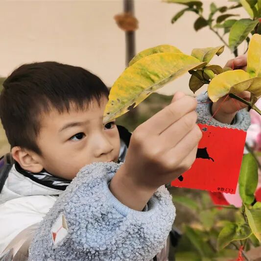 【一幼动态】玩转中国年系列活动②｜一幼福娃闹新春
