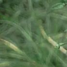 火一开学季|开学啦||我想照亮你的世界