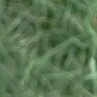 火一动态|笔端生芳华 情满中秋月|| 火炬一小教师节/中秋节“双节”庆祝活动