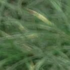 火一动态|笔端生芳华 情满中秋月|| 火炬一小教师节/中秋节“双节”庆祝活动