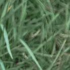 火一动态|笔端生芳华 情满中秋月|| 火炬一小教师节/中秋节“双节”庆祝活动