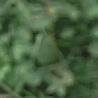 火一动态|笔端生芳华 情满中秋月|| 火炬一小教师节/中秋节“双节”庆祝活动