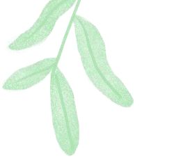 火一开学季|开学啦||春天,与读书同行!