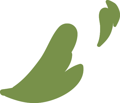 绵阳高新区首届数学文化节暨核心素养趣味竞赛活动在我校举行