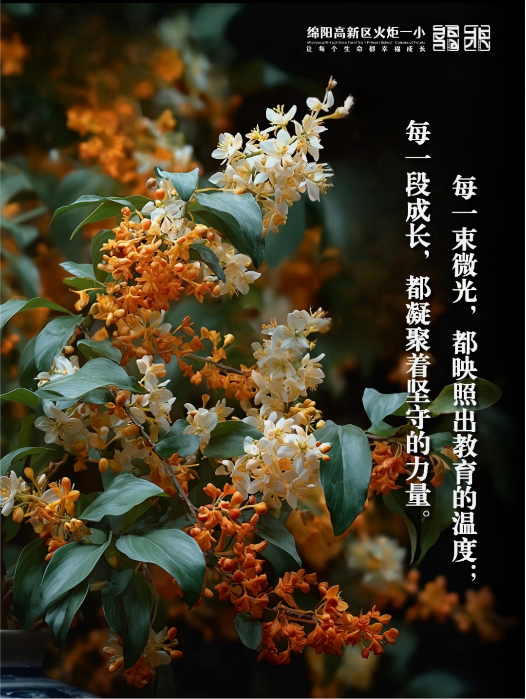 【火一月刊】十月耕耘,星光满载 在光影交织中,珍藏教育的每一瞬微光