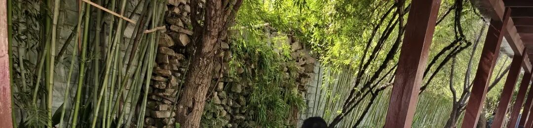【火一动态】春生，让阅读扎根——火炬一小第十三届读书节圆满落幕